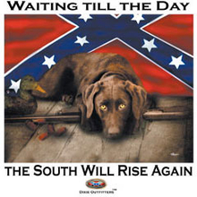 6408L WAITING TILL THE DAY THE SOUTH WILL RISE AGAIN