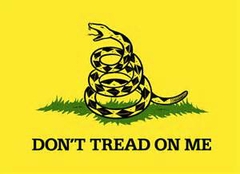 Don't Tread on Me...flag
