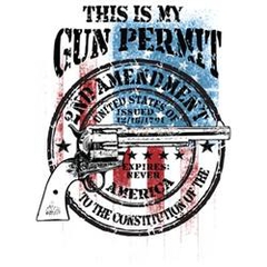 USA Flag Gun Permit 