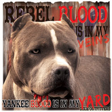 6572L REBEL BLOOD, YANKEE BLOOD
