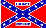 3x5 Confederate Flag, I Ain't Coming Down