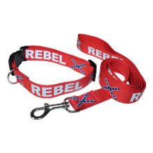 Rebel Dog Collar & Leash Set