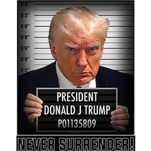 Trump Never Surrender Tee