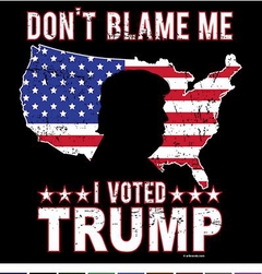 Don't Blame Me I Voted For Trump
