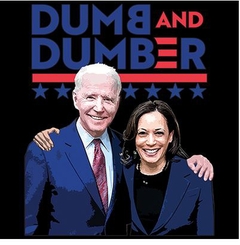 Trump Dumb and dumber shirt
