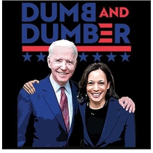 Trump Dumb and dumber shirt